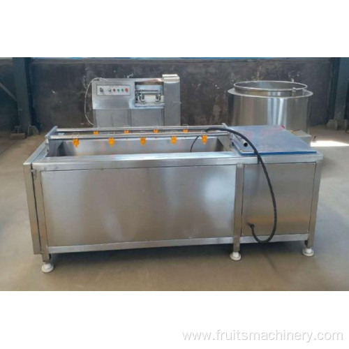 Automatic Fruit Peeling Machine